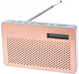 goodmans canvas DAB radio